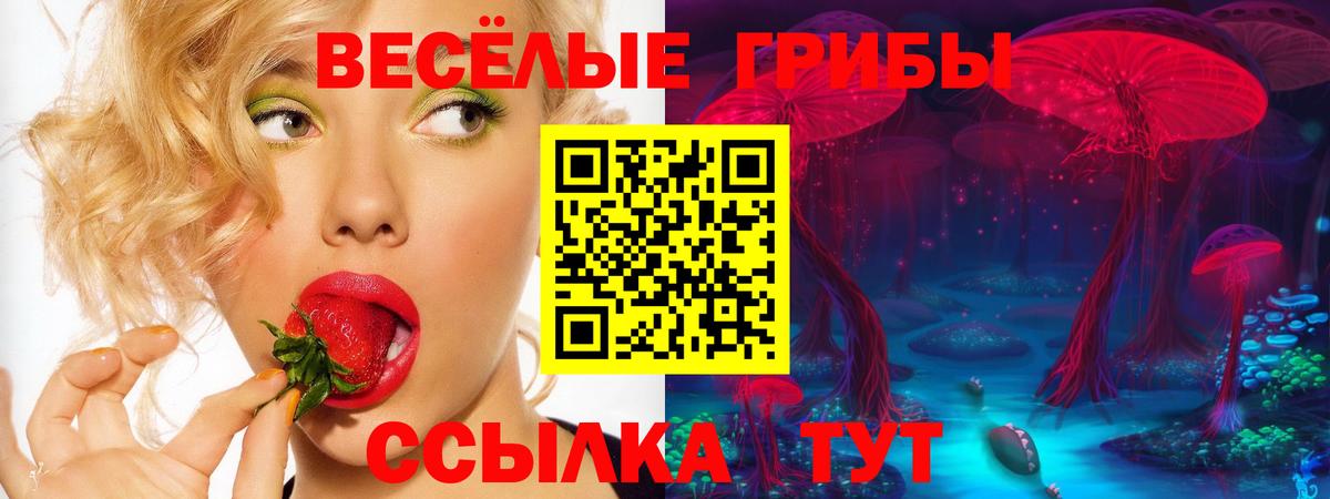 Галлюциногенные грибы Magic Shrooms  Вход с VPN  Гай 