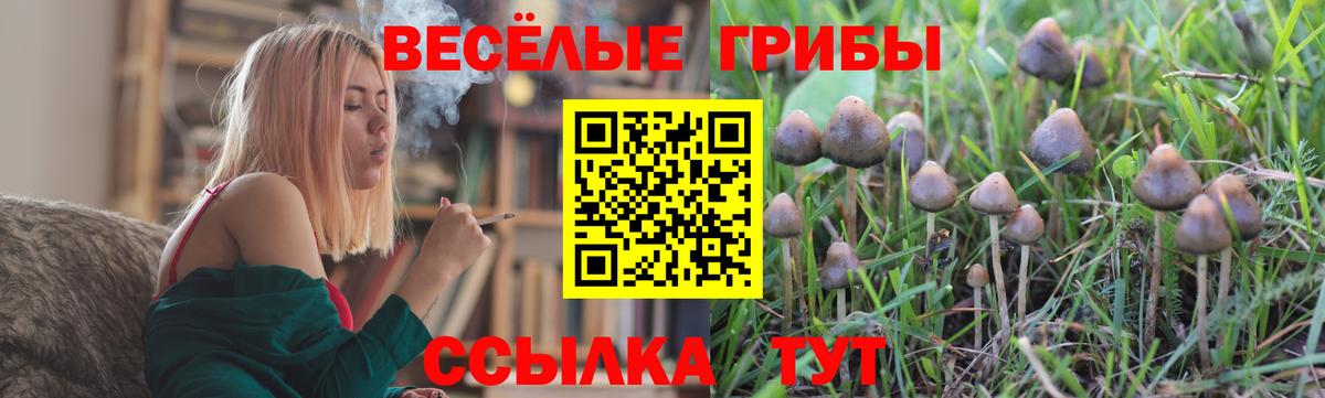Бошки Шишки  Гашиш  ГАШ  МАРИХУАНА  Вход с VPN  Кокаин  Гай  МЕФ кристаллы 